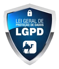 lgpd-touareg09